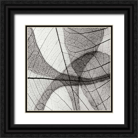 Leaf Designs III BW Black Ornate Wood Framed Art Print with Double Matting by Christensen, Jim