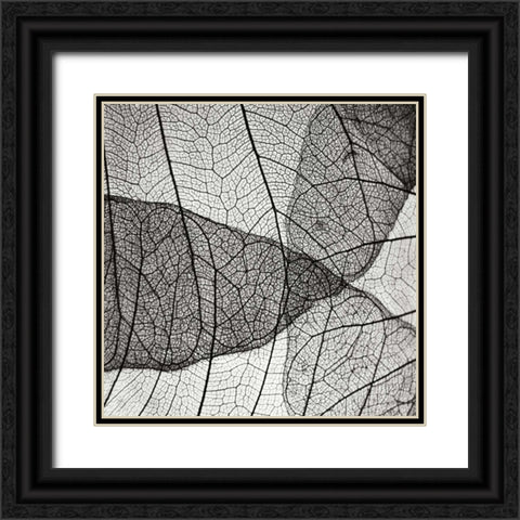 Leaf Designs IV BW Black Ornate Wood Framed Art Print with Double Matting by Christensen, Jim