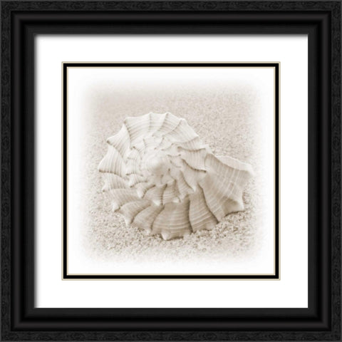 In the Sand I Black Ornate Wood Framed Art Print with Double Matting by Christensen, Jim