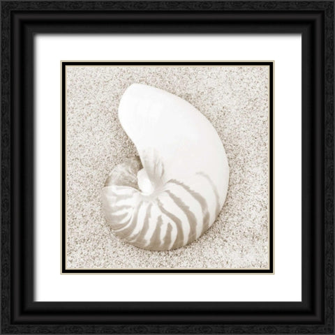 In the Sand VII Black Ornate Wood Framed Art Print with Double Matting by Christensen, Jim