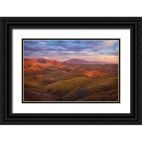Parched Palette Black Ornate Wood Framed Art Print with Double Matting by Geistweite, Mark
