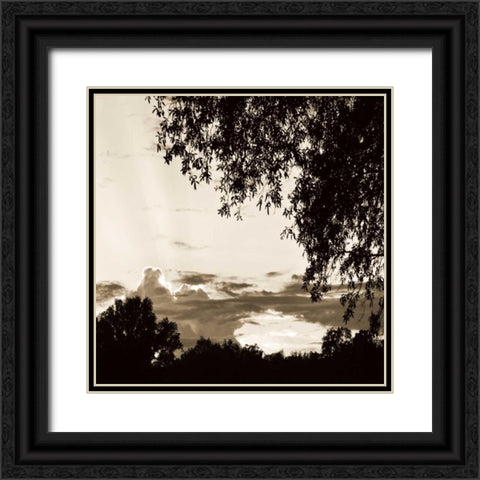 Sunset Trees Sepia Sq I Black Ornate Wood Framed Art Print with Double Matting by Hausenflock, Alan