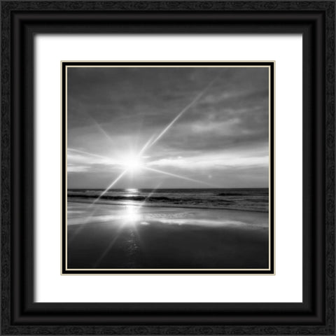 Beauteous Light III Black Ornate Wood Framed Art Print with Double Matting by Hausenflock, Alan