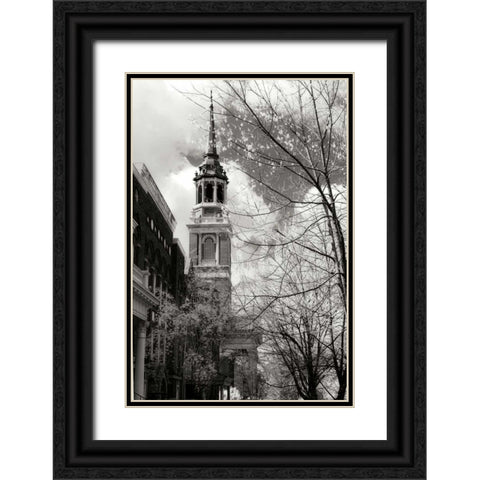 Renewal II Black Ornate Wood Framed Art Print with Double Matting by Hausenflock, Alan
