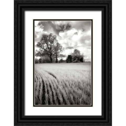 Stormy Skies II Black Ornate Wood Framed Art Print with Double Matting by Hausenflock, Alan