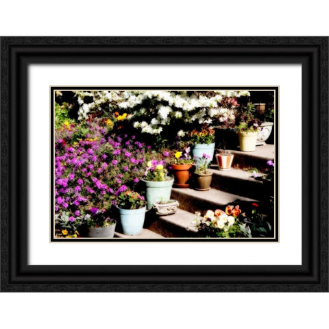 Sidewalk Spring II Black Ornate Wood Framed Art Print with Double Matting by Hausenflock, Alan
