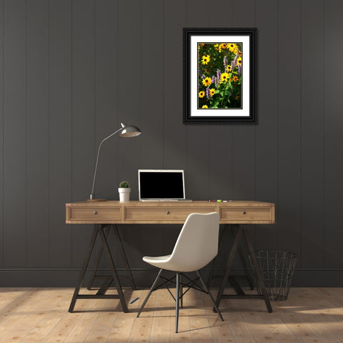 Summer Glory I Black Ornate Wood Framed Art Print with Double Matting by Hausenflock, Alan