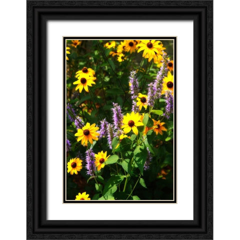 Summer Glory I Black Ornate Wood Framed Art Print with Double Matting by Hausenflock, Alan