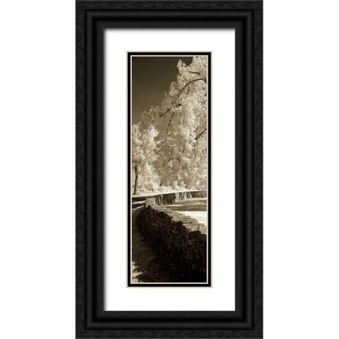 Seminary Wall Panel Black Ornate Wood Framed Art Print with Double Matting by Hausenflock, Alan