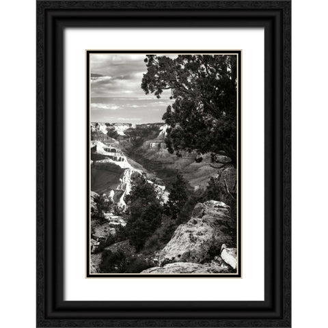 Canyon Gorge I Black Ornate Wood Framed Art Print with Double Matting by Hausenflock, Alan