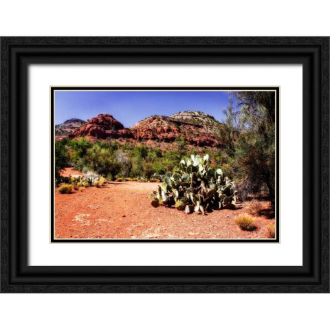High Desert I Black Ornate Wood Framed Art Print with Double Matting by Hausenflock, Alan