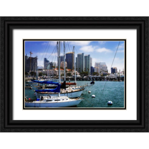 San Diego Que I Black Ornate Wood Framed Art Print with Double Matting by Hausenflock, Alan