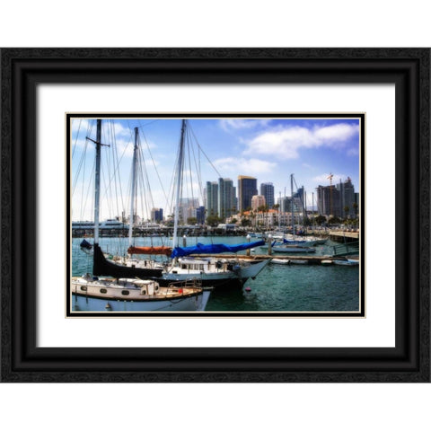 San Diego Que II Black Ornate Wood Framed Art Print with Double Matting by Hausenflock, Alan