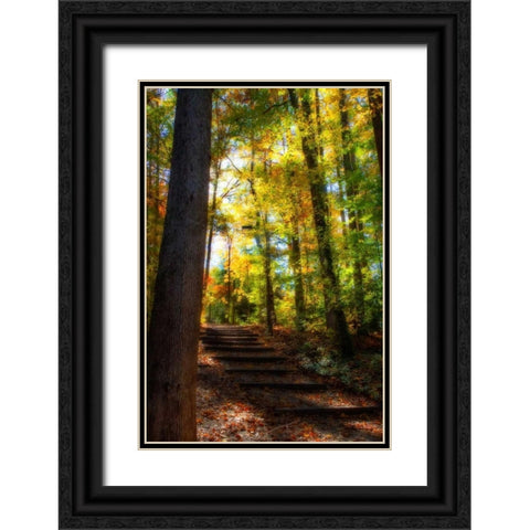 Autumn Light II Black Ornate Wood Framed Art Print with Double Matting by Hausenflock, Alan