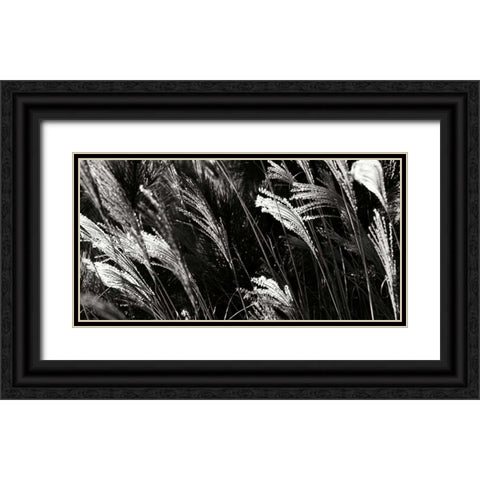 Wind Dancers I Black Ornate Wood Framed Art Print with Double Matting by Hausenflock, Alan