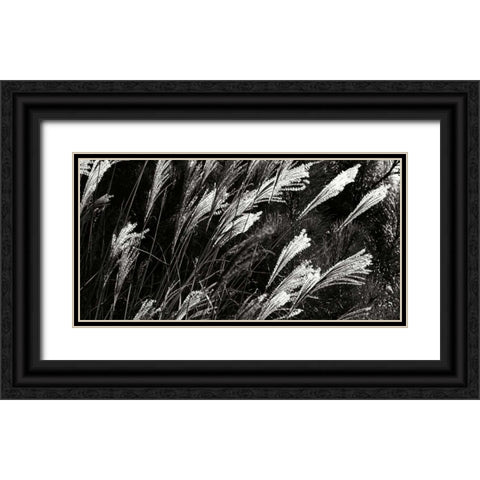 Wind Dancers II Black Ornate Wood Framed Art Print with Double Matting by Hausenflock, Alan