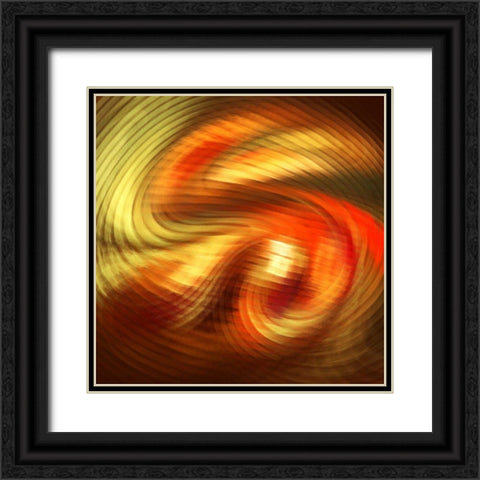 Mix It Up II Black Ornate Wood Framed Art Print with Double Matting by Hausenflock, Alan