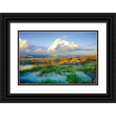 Dunes I Black Ornate Wood Framed Art Print with Double Matting by Hausenflock, Alan