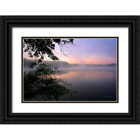 Shelley Lake Fog Black Ornate Wood Framed Art Print with Double Matting by Hausenflock, Alan