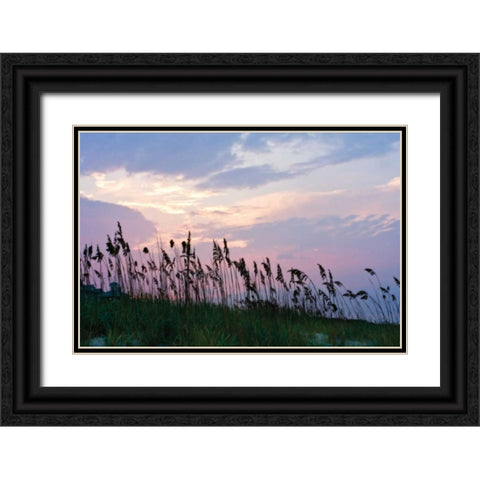 Sea Oats on Lavender I Black Ornate Wood Framed Art Print with Double Matting by Hausenflock, Alan