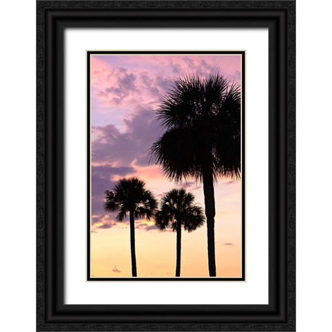 San Marcos Sunset VI Black Ornate Wood Framed Art Print with Double Matting by Hausenflock, Alan
