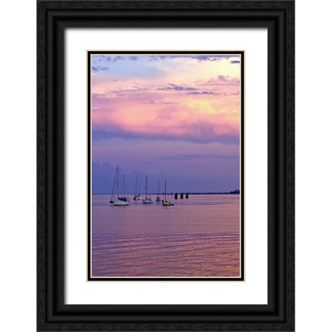 St. Augustine Harbor Sunset IV Black Ornate Wood Framed Art Print with Double Matting by Hausenflock, Alan