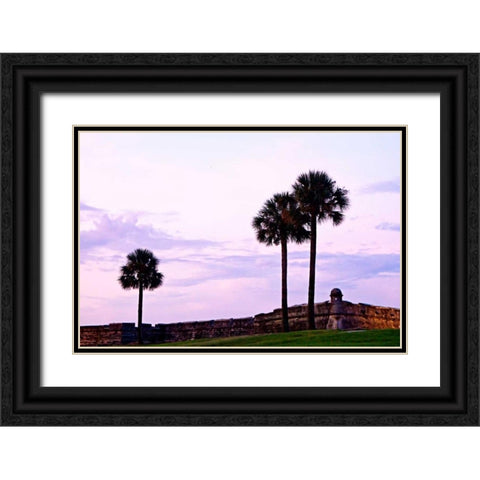 Castillo II Black Ornate Wood Framed Art Print with Double Matting by Hausenflock, Alan