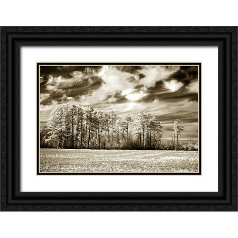 Fallow Field Black Ornate Wood Framed Art Print with Double Matting by Hausenflock, Alan