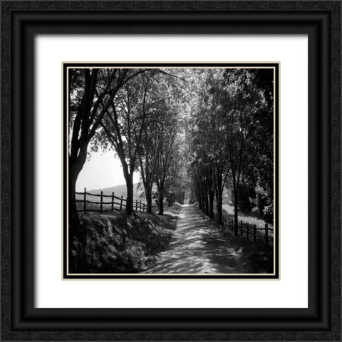 Ash Lawn Square I Black Ornate Wood Framed Art Print with Double Matting by Hausenflock, Alan