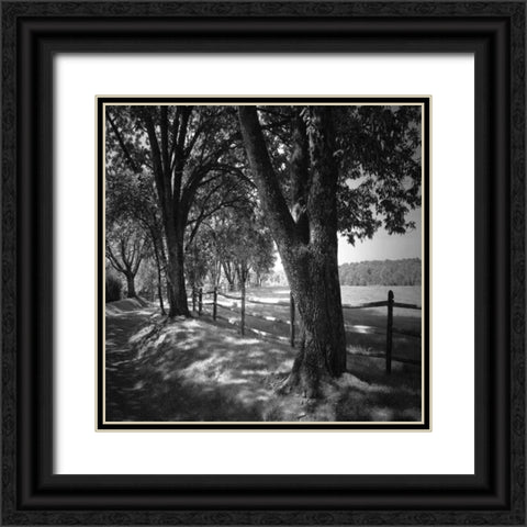 Summer Stroll Square II Black Ornate Wood Framed Art Print with Double Matting by Hausenflock, Alan