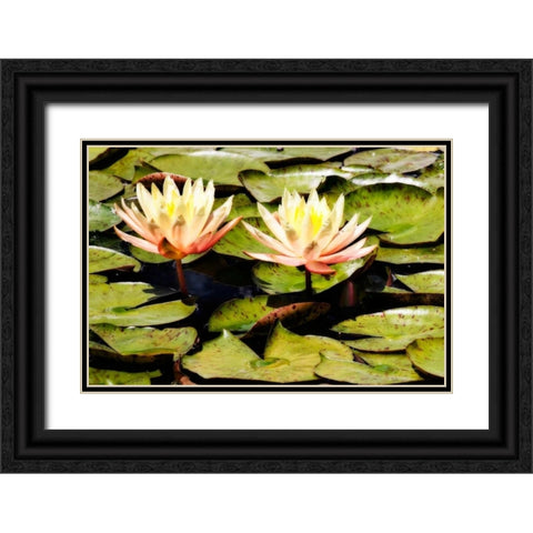 Blushing Lilies II Black Ornate Wood Framed Art Print with Double Matting by Hausenflock, Alan