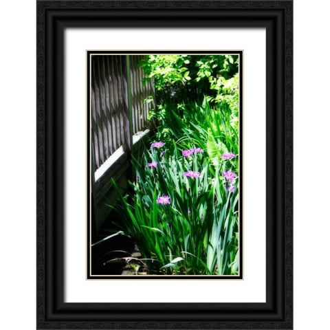 Spring Iris II Black Ornate Wood Framed Art Print with Double Matting by Hausenflock, Alan