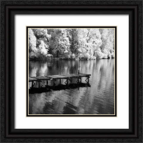 Mint Springs Lake Square III Black Ornate Wood Framed Art Print with Double Matting by Hausenflock, Alan