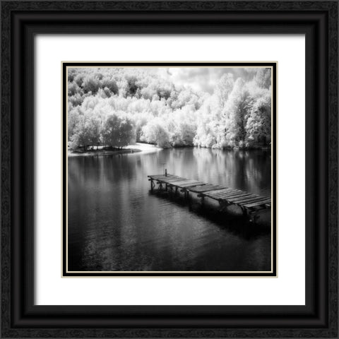 Mint Springs Lake Square IV Black Ornate Wood Framed Art Print with Double Matting by Hausenflock, Alan