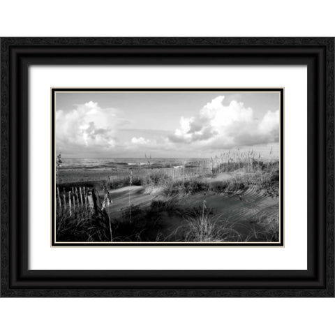 Dunes II Black Ornate Wood Framed Art Print with Double Matting by Hausenflock, Alan