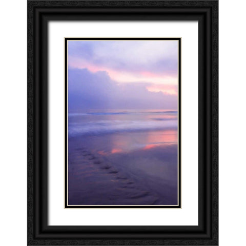 Wrightsville Sunrise II Black Ornate Wood Framed Art Print with Double Matting by Hausenflock, Alan