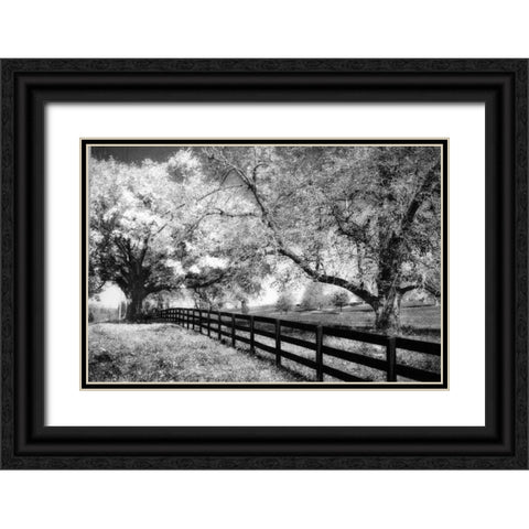 Rural Route III3 I Black Ornate Wood Framed Art Print with Double Matting by Hausenflock, Alan
