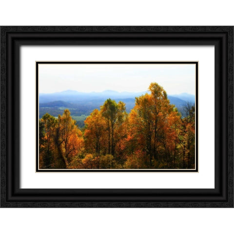 Shenandoah Valley I Black Ornate Wood Framed Art Print with Double Matting by Hausenflock, Alan