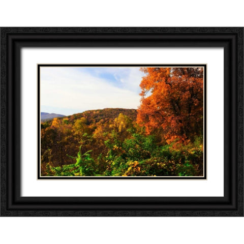 Rockfish Gap Black Ornate Wood Framed Art Print with Double Matting by Hausenflock, Alan