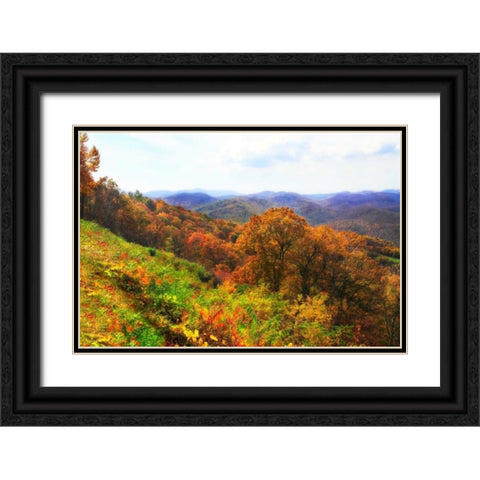 Sawmill Run Black Ornate Wood Framed Art Print with Double Matting by Hausenflock, Alan
