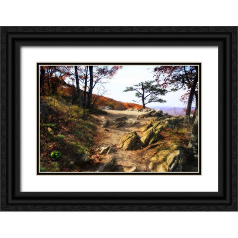 Stoney Ridge I Black Ornate Wood Framed Art Print with Double Matting by Hausenflock, Alan