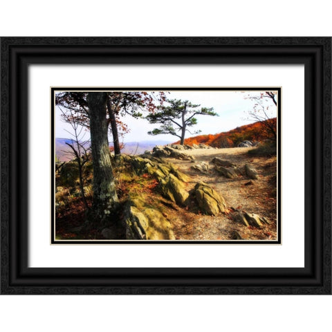 Stoney Ridge II Black Ornate Wood Framed Art Print with Double Matting by Hausenflock, Alan