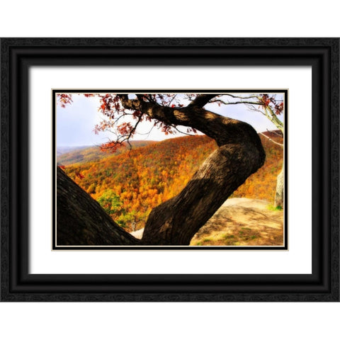 Wildcat Ridge I Black Ornate Wood Framed Art Print with Double Matting by Hausenflock, Alan