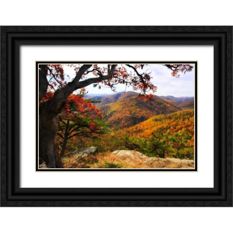 Wildcat Ridge III Black Ornate Wood Framed Art Print with Double Matting by Hausenflock, Alan