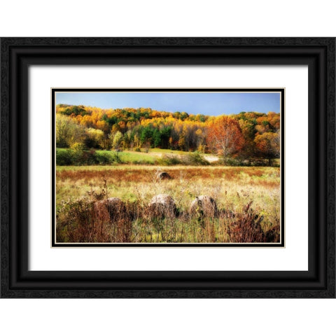 Sperryville Fields II Black Ornate Wood Framed Art Print with Double Matting by Hausenflock, Alan