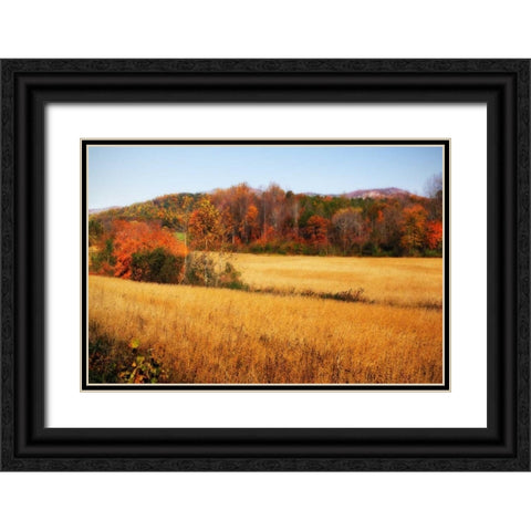 Sperryville Fields IV Black Ornate Wood Framed Art Print with Double Matting by Hausenflock, Alan