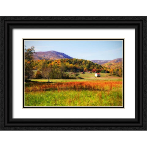 Autumn Fields II Black Ornate Wood Framed Art Print with Double Matting by Hausenflock, Alan