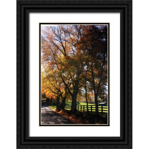 Country Road IV Black Ornate Wood Framed Art Print with Double Matting by Hausenflock, Alan