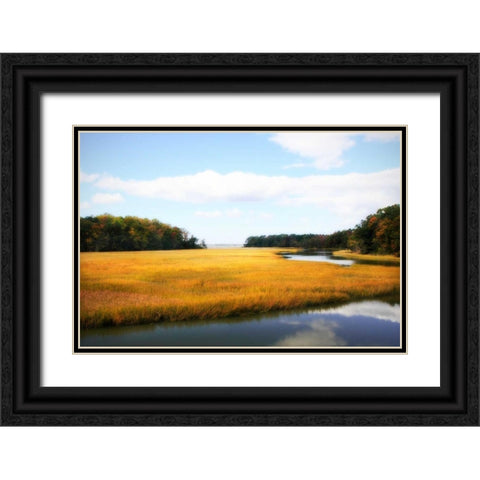 Kings Creek I Black Ornate Wood Framed Art Print with Double Matting by Hausenflock, Alan