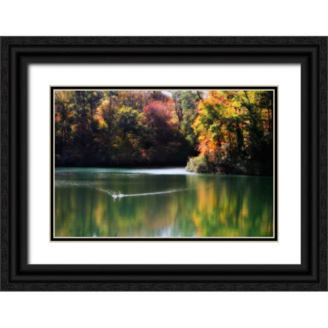 Swans on the Lake I Black Ornate Wood Framed Art Print with Double Matting by Hausenflock, Alan